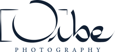 orbephotography.com