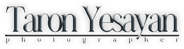 yesayanwedd.com