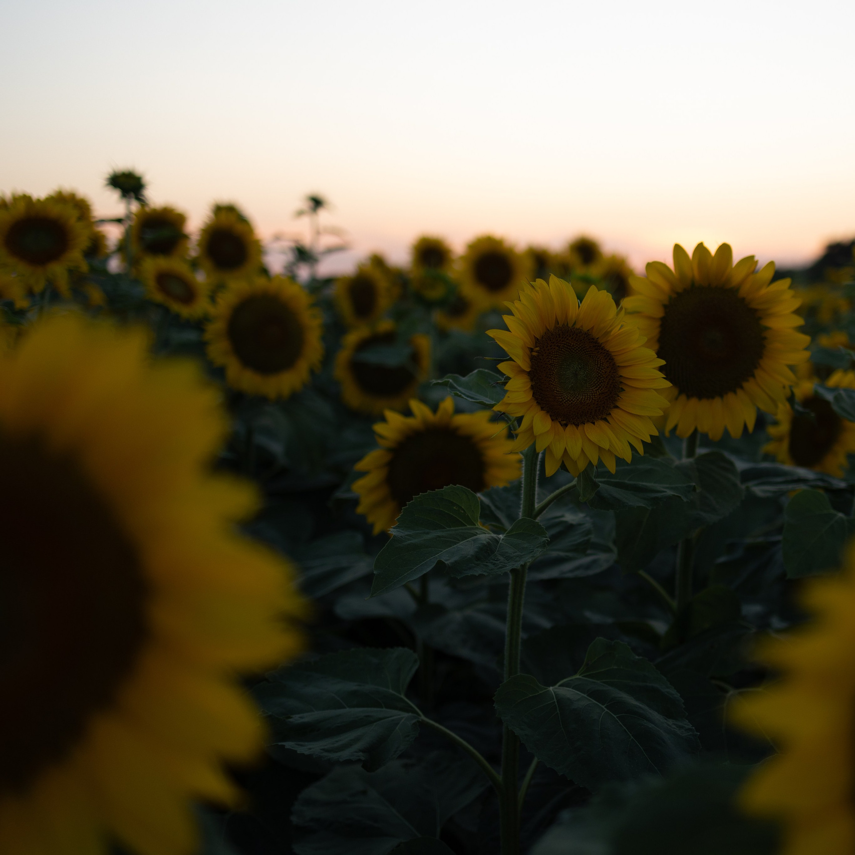 WORLD PHOTO. International Photographer