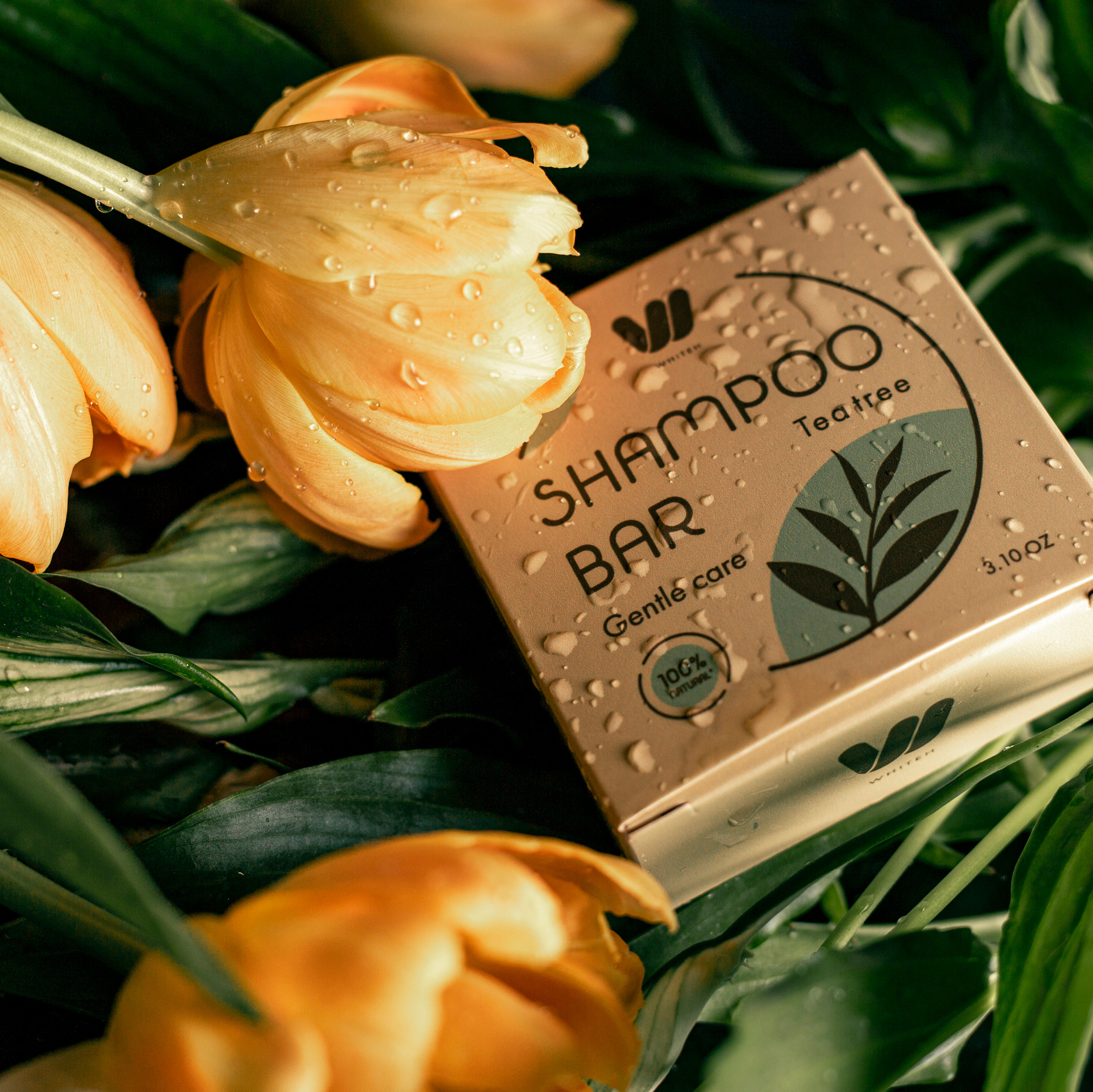 Ціни на фотозйомку. Професійне фото і відео по всій Україні