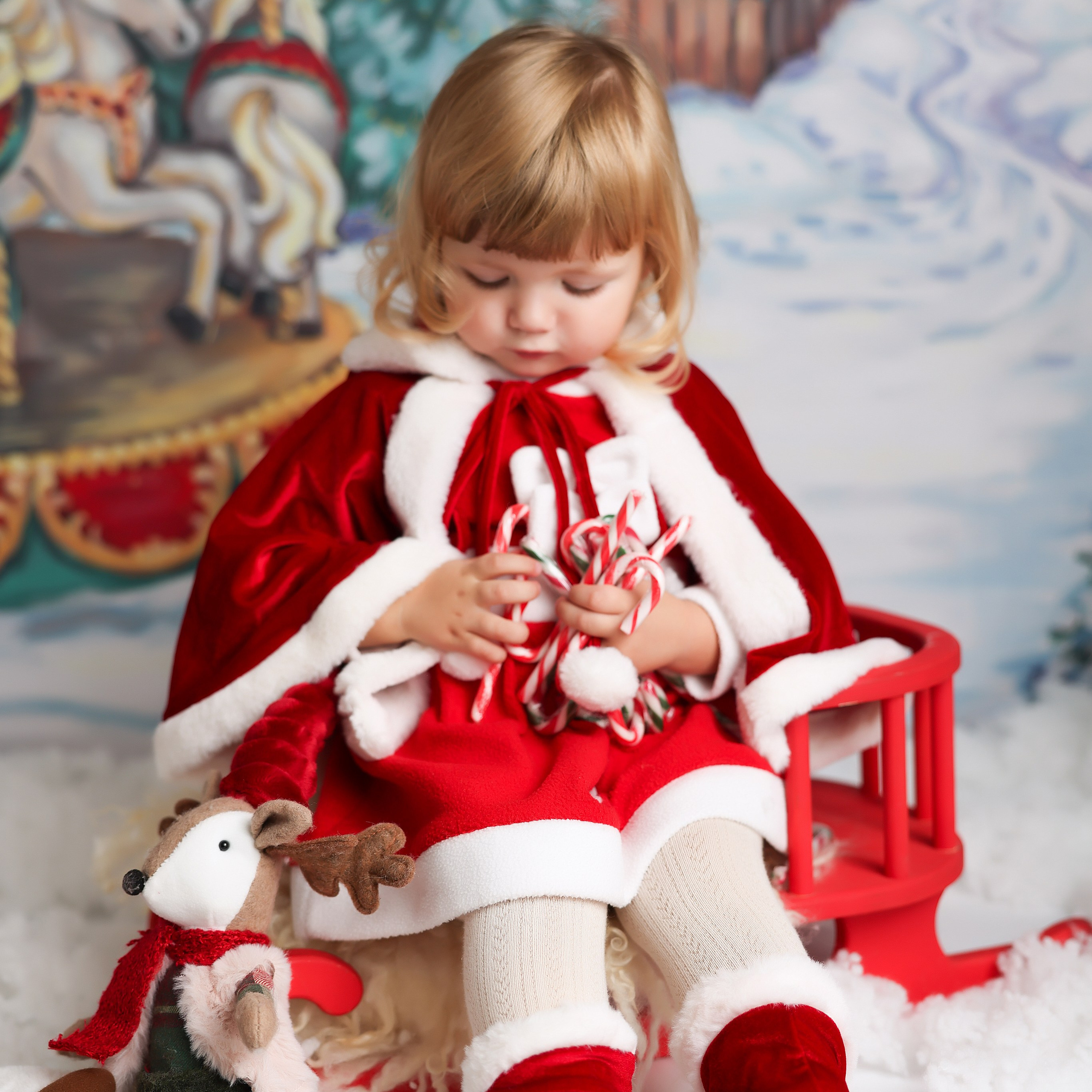 Séance Photo de Noël 2024. Photographe professionelle spécialisée dans la photographie de grosses