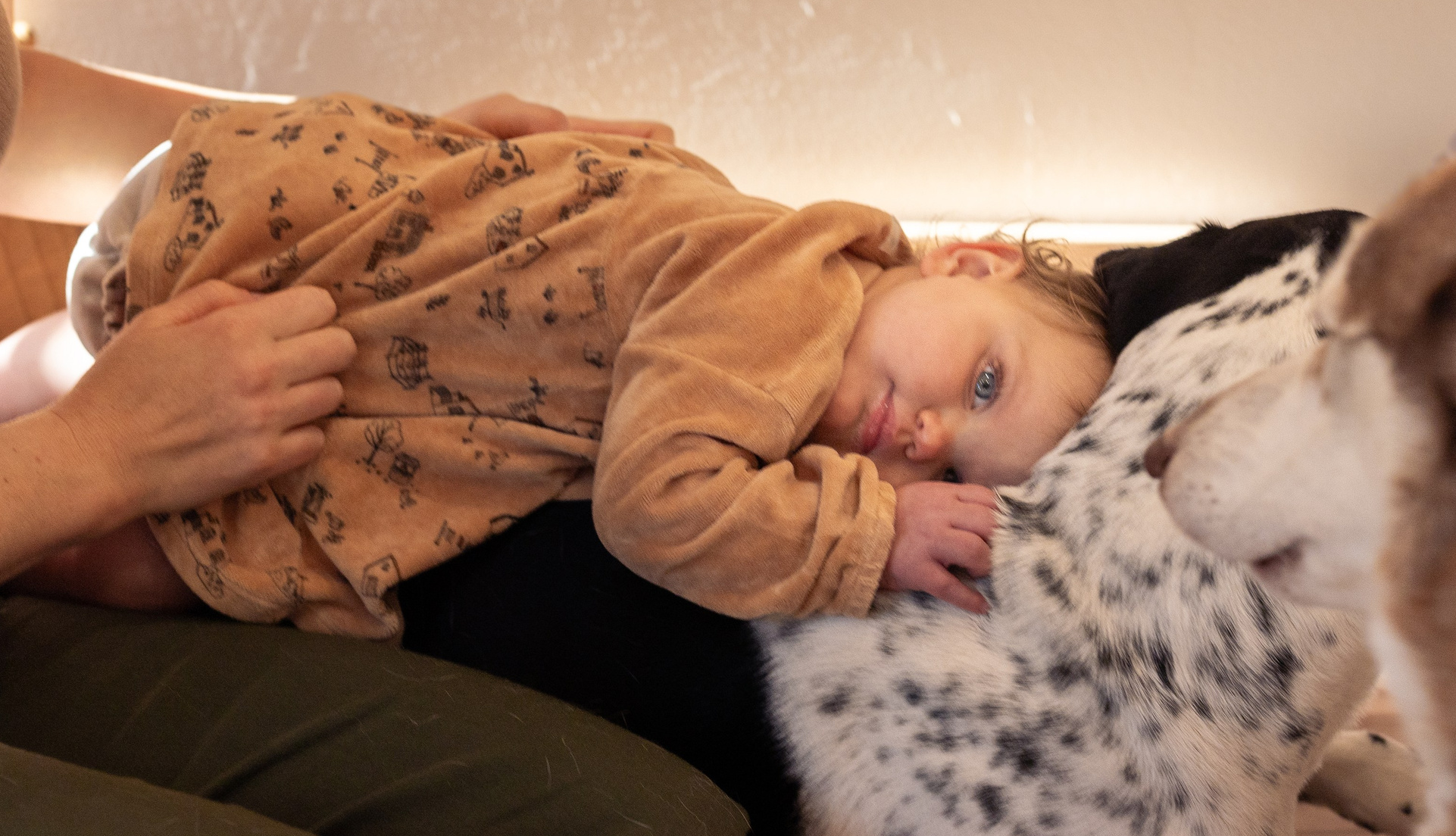 FAMILY LIFESTYLE SESSIONS. Levantera Photo San Francisco Bay Area Photographer Natalia