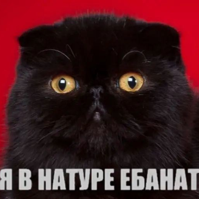 Доска прослезившихся