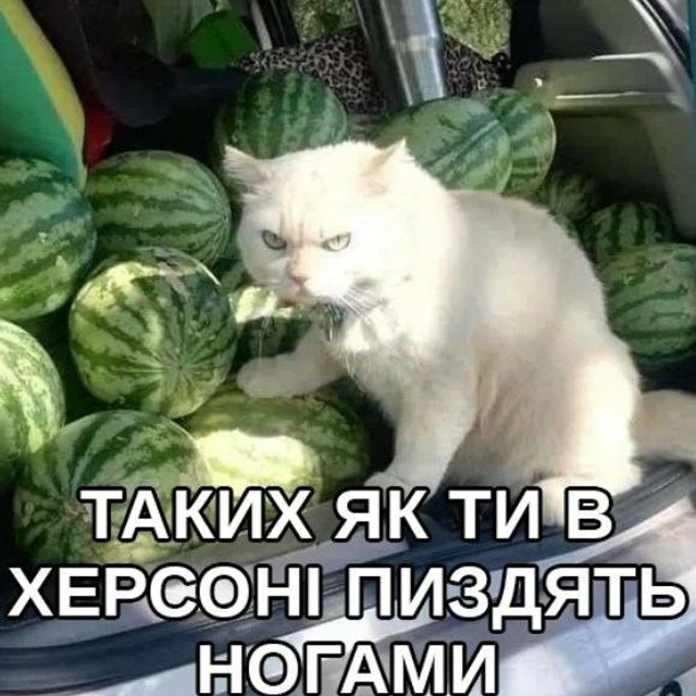 Доска прослезившихся