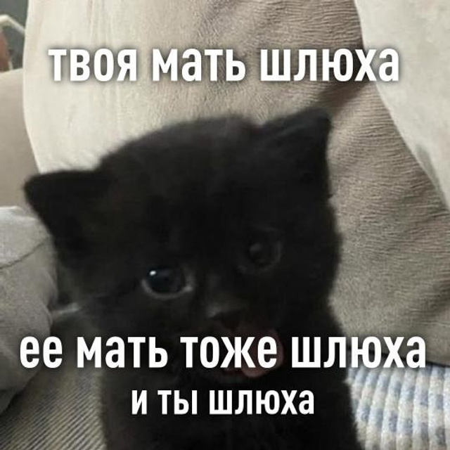 Доска прослезившихся