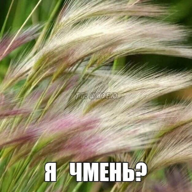 Доска прослезившихся