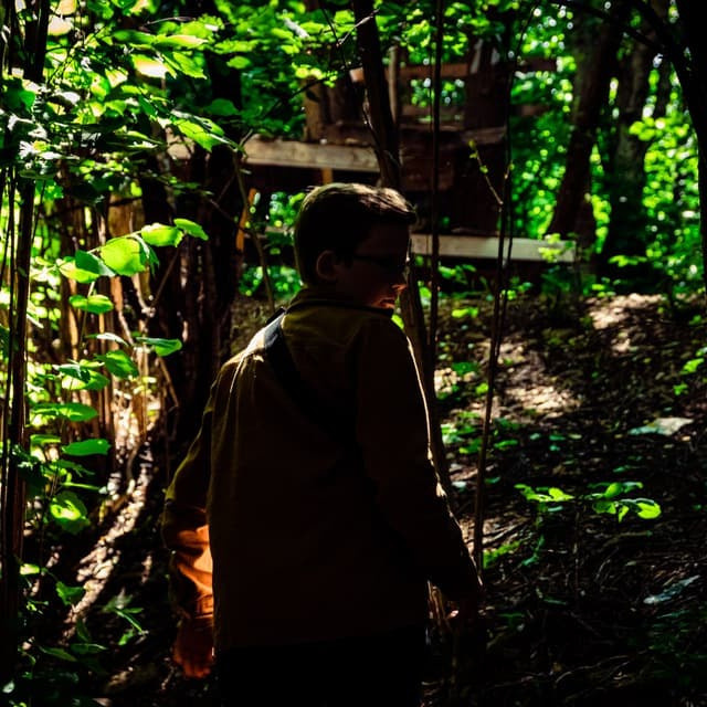 Arvamused. Nebula 25 — Fotod teie hingele