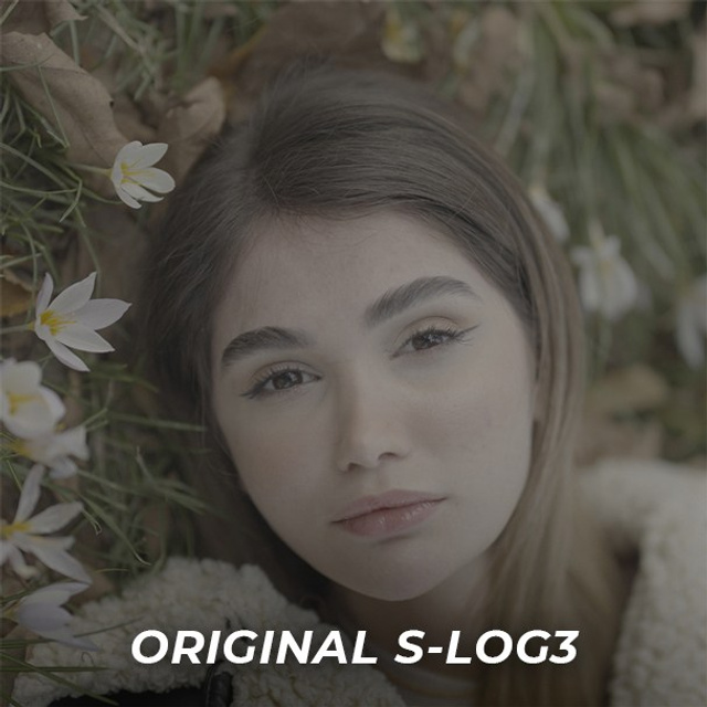 Cinematic Portrait Workflow — PowerGrade + Footage