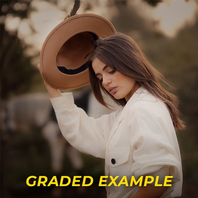 Portrait Footage — Golden Hour