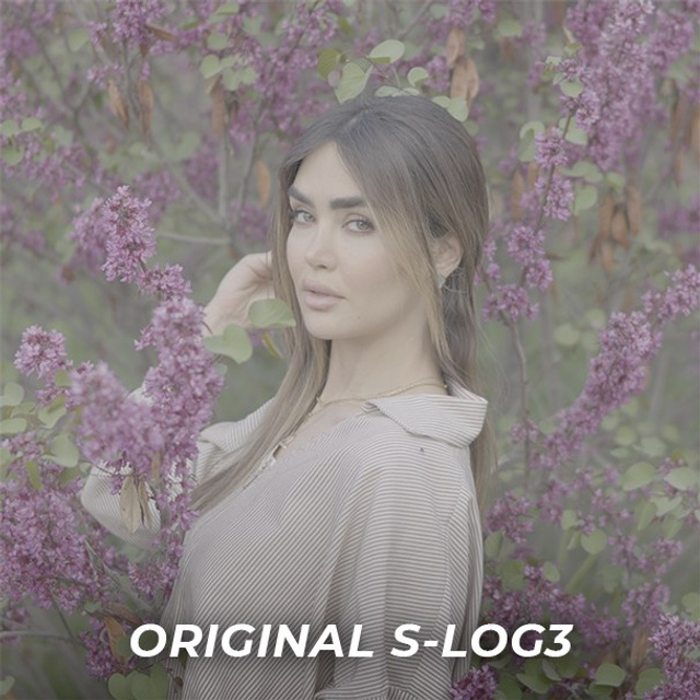 Sony S-Log3 Cinematic Footage Bundle — 5 4K Clips