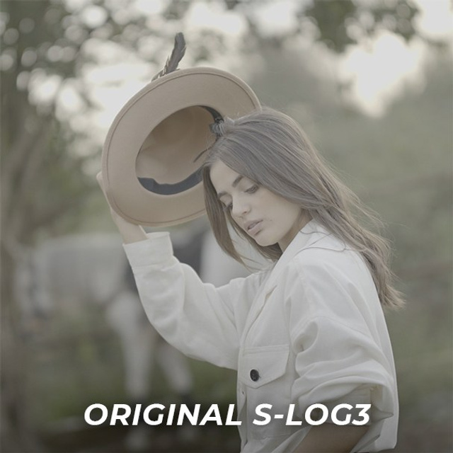 Sony S-Log3 Golden Hour Portrait Footage