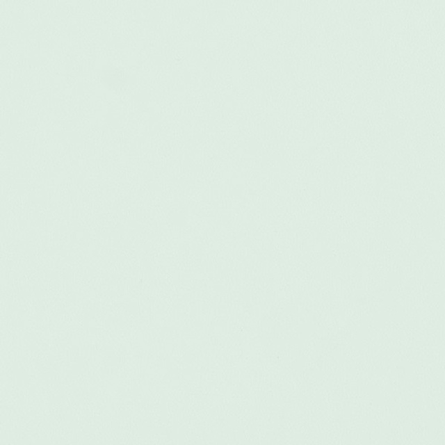 MATERĀLS Mākslīgā āda NP