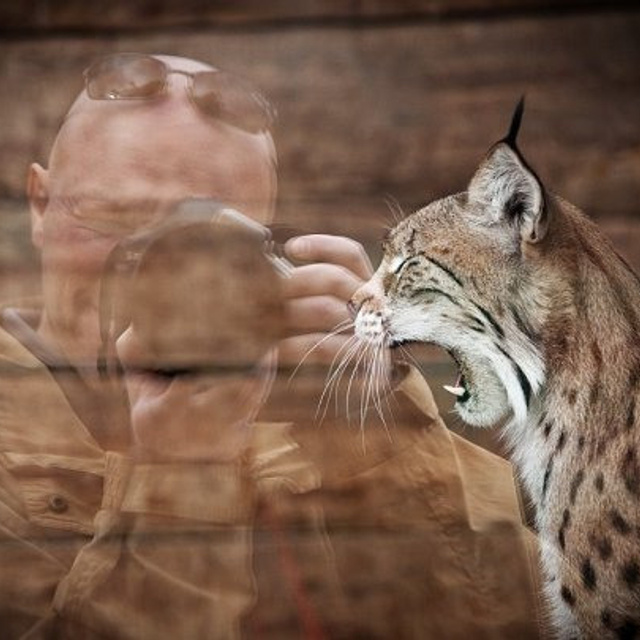 חוות דעת. Wolfson confectionery