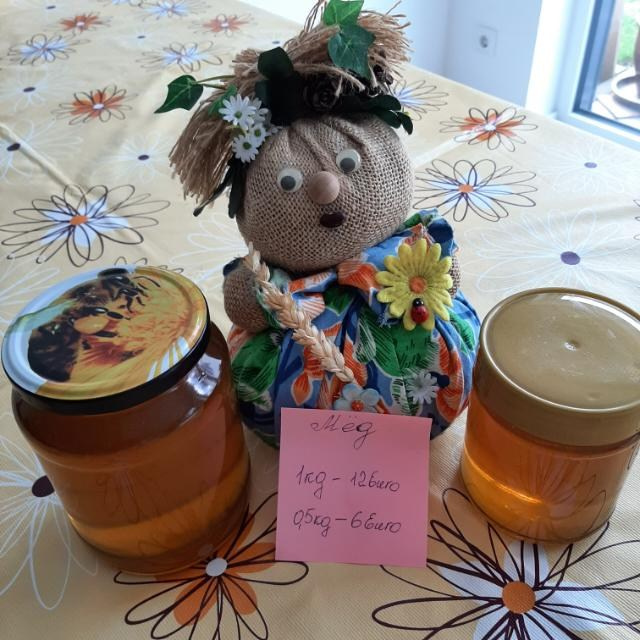 Отзывы. Elina Reisen. Туристическое агентство в Аугсбурге