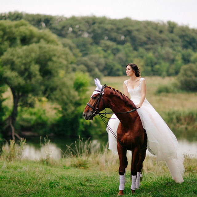 Отзывы. Свадебный фотограф в Германии