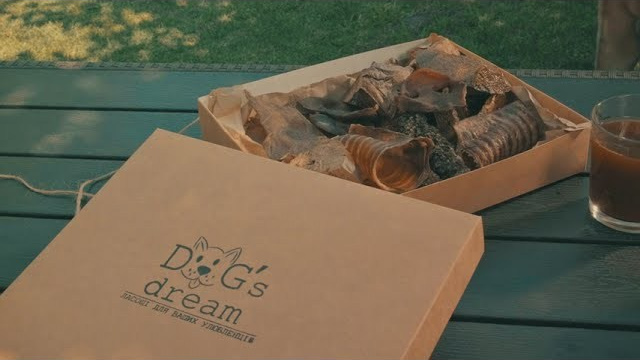 Video. Фотограф Днепр Кирилл Гривенюк