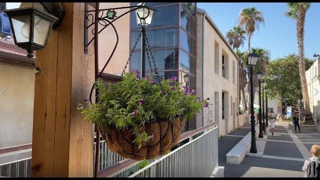 Маленькая Леди. Фотограф. Визуал. Хайфа. Талья Цветкова