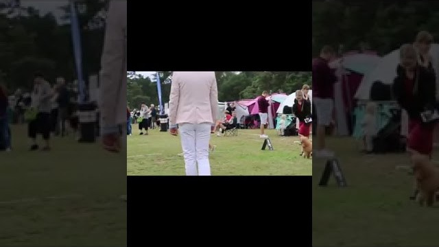 ANGEL GIFT ELISABETH TOY GIRL. Angel Gift (Red Poodle) Kennel