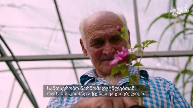 ინტერვიუ. Clapp Studio