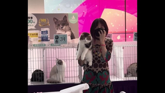 LEMON GREEN SIBERIANS USLADA