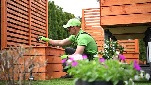 Videos Κήπων. Geoponitikon-Όταν η Επιστήμη συναντά την Τέχνη στο Φυσικό Τοπίο!