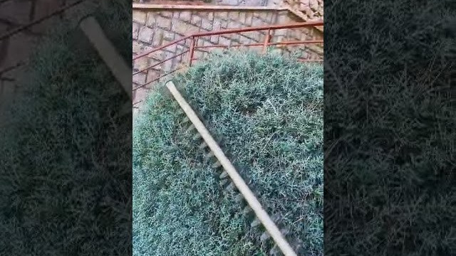 Videos Κήπων. Geoponitikon-Όταν η Επιστήμη συναντά την Τέχνη στο Φυσικό Τοπίο!