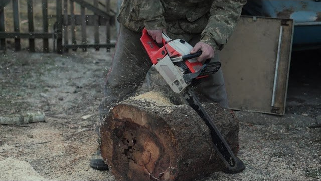 Videos Κήπων. Geoponitikon-Όταν η Επιστήμη συναντά την Τέχνη στο Φυσικό Τοπίο!