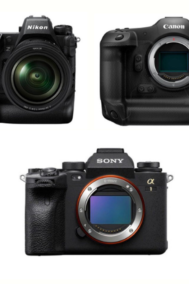 Has the Value of Digital Photographs Dropped Due to Generative AI?. Akhil Vinayak Menon Photography