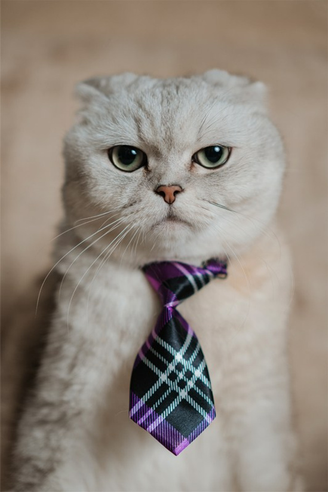 Отзывы. Alex Levi