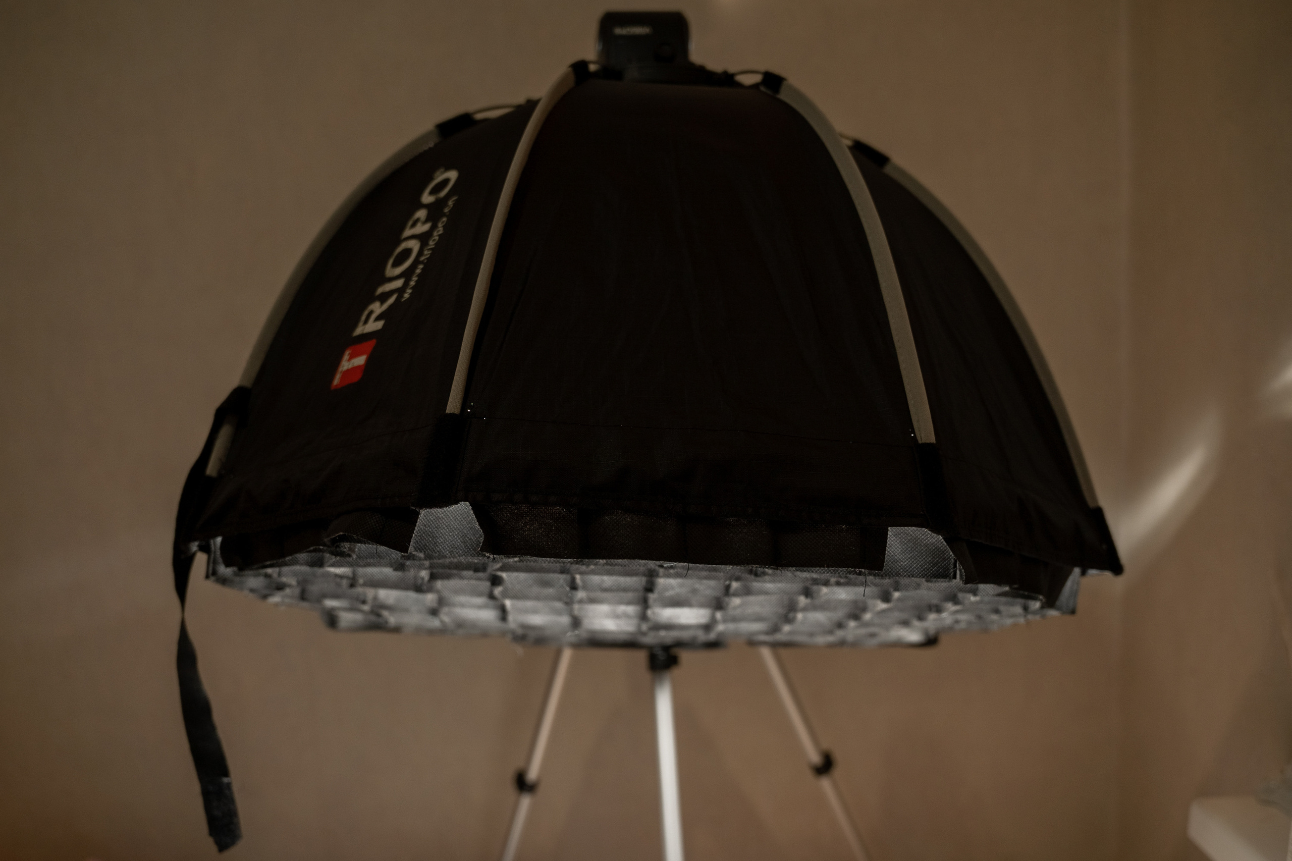 Мягкий или жесткий свет?. Фотограф Григорий Кравец