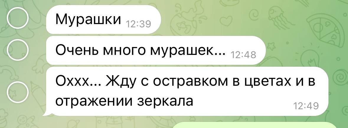 SERVIZIO FOTOGRAFICO PER SE STESSA E PER CONTENUTI DI LAVORO DELLA PAGINA INSTAGRAM