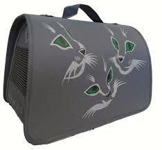 Τσάντα μεταφοράς γάτας. Εκτροφείο βρετανικής κοντότριχης γάτας στην Ελλάδα, χρυσή βρετανική γά