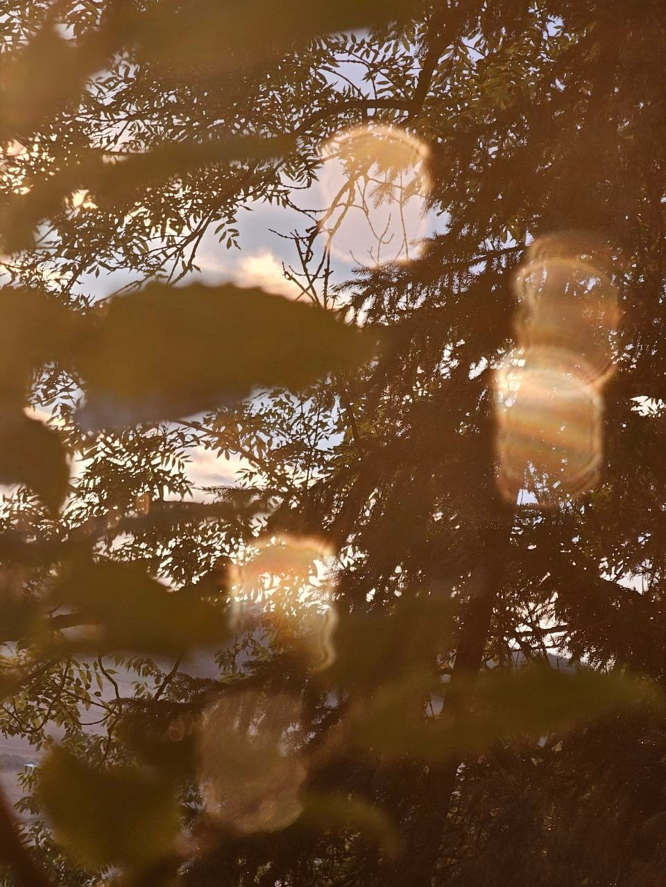 FERIENDORF JOURNAL. Schwarz-weiß Fotografie in Münster. Fotografin Viktoria Roschen