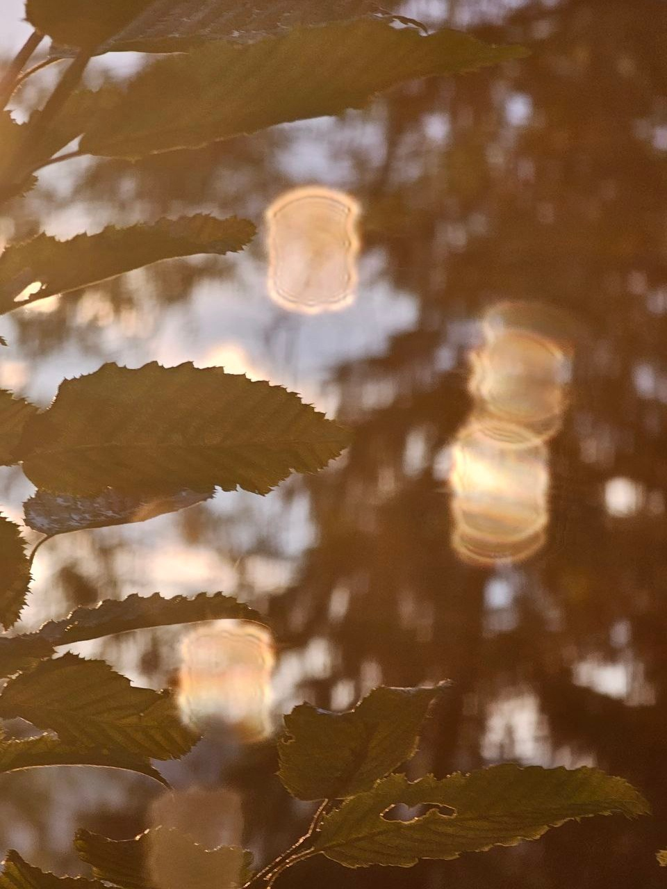 FERIENDORF JOURNAL. Schwarz-weiß Fotografie in Münster. Fotografin Viktoria Roschen