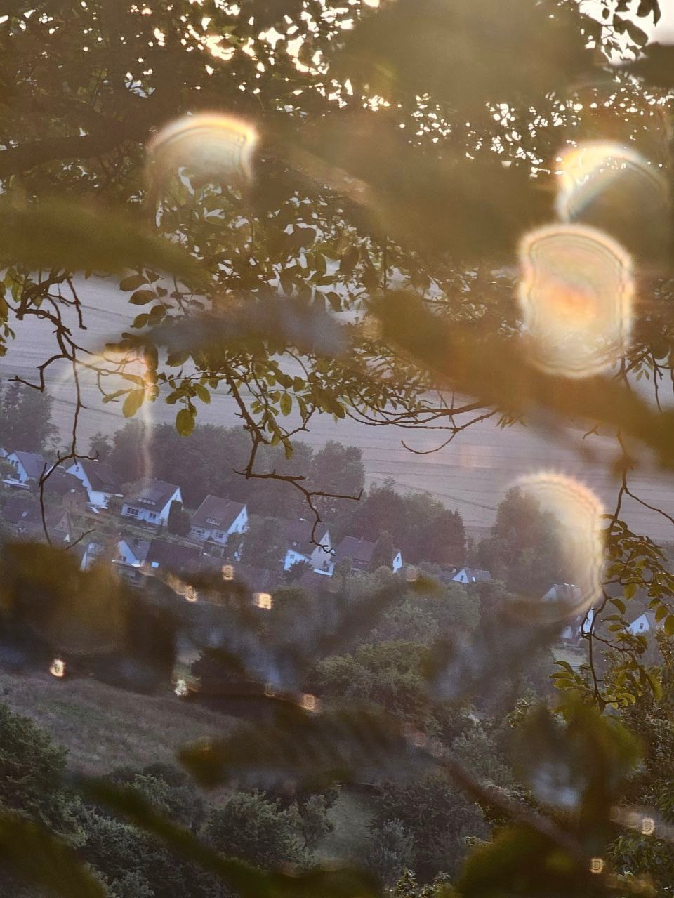 FERIENDORF JOURNAL. Schwarz-weiß Fotografie in Münster. Fotografin Viktoria Roschen