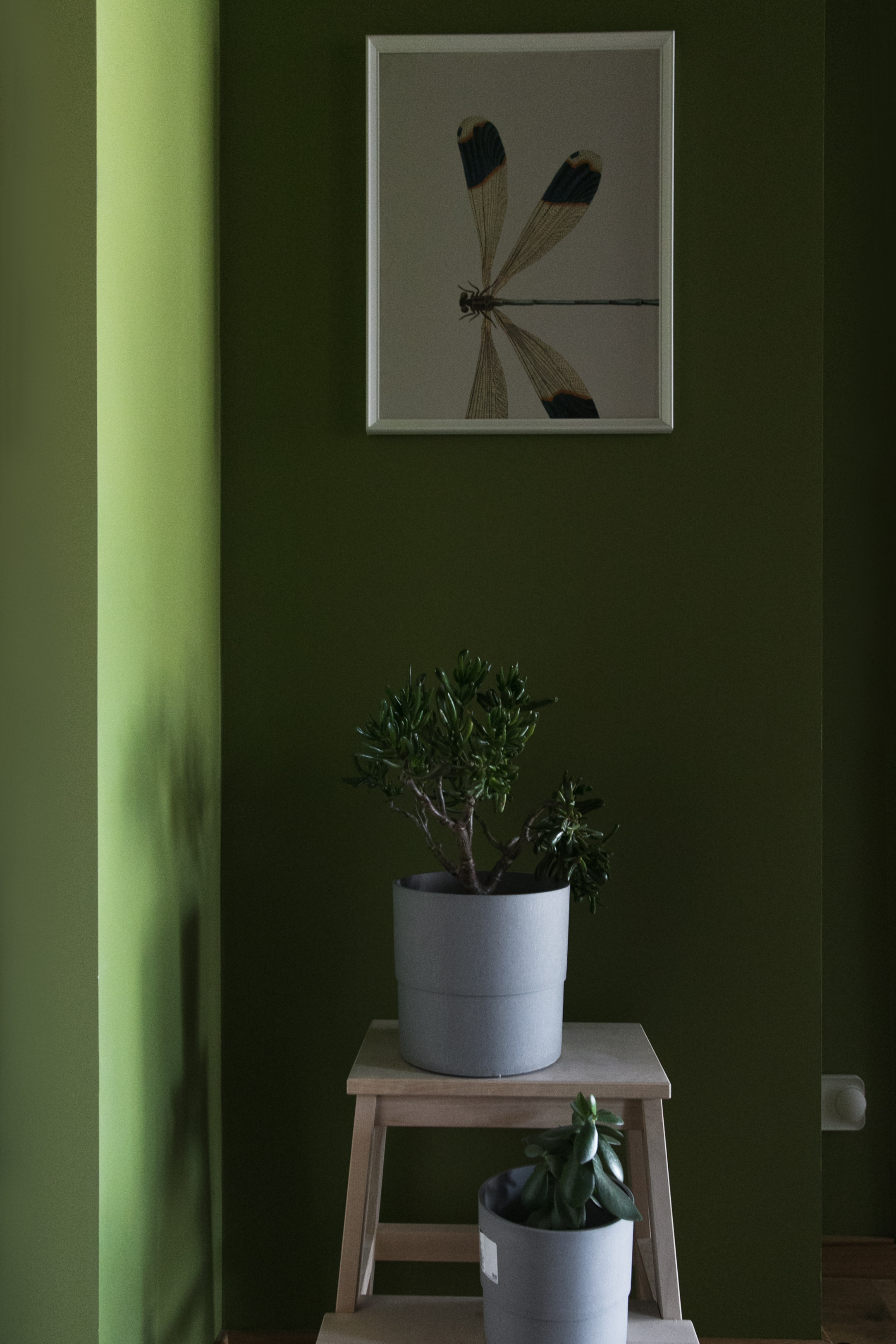 Дизайнер интерьера — ЖК Морская Звезда на Оптиков