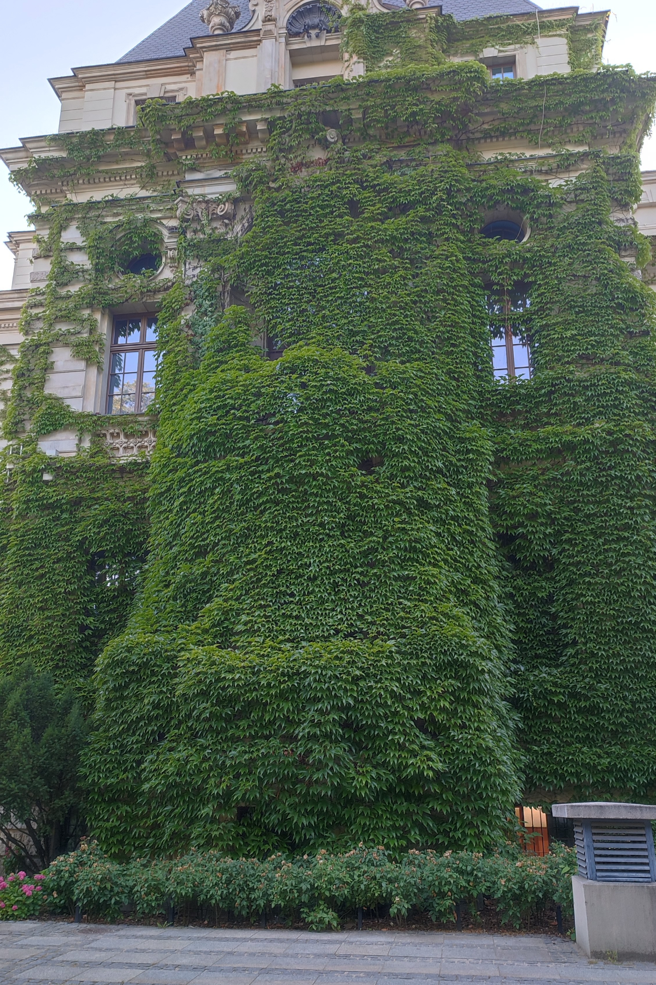 9 najpiękniejszych miejsc na sesję we Wroclawiu. Fotograf Wroclaw Anna Tsukanova