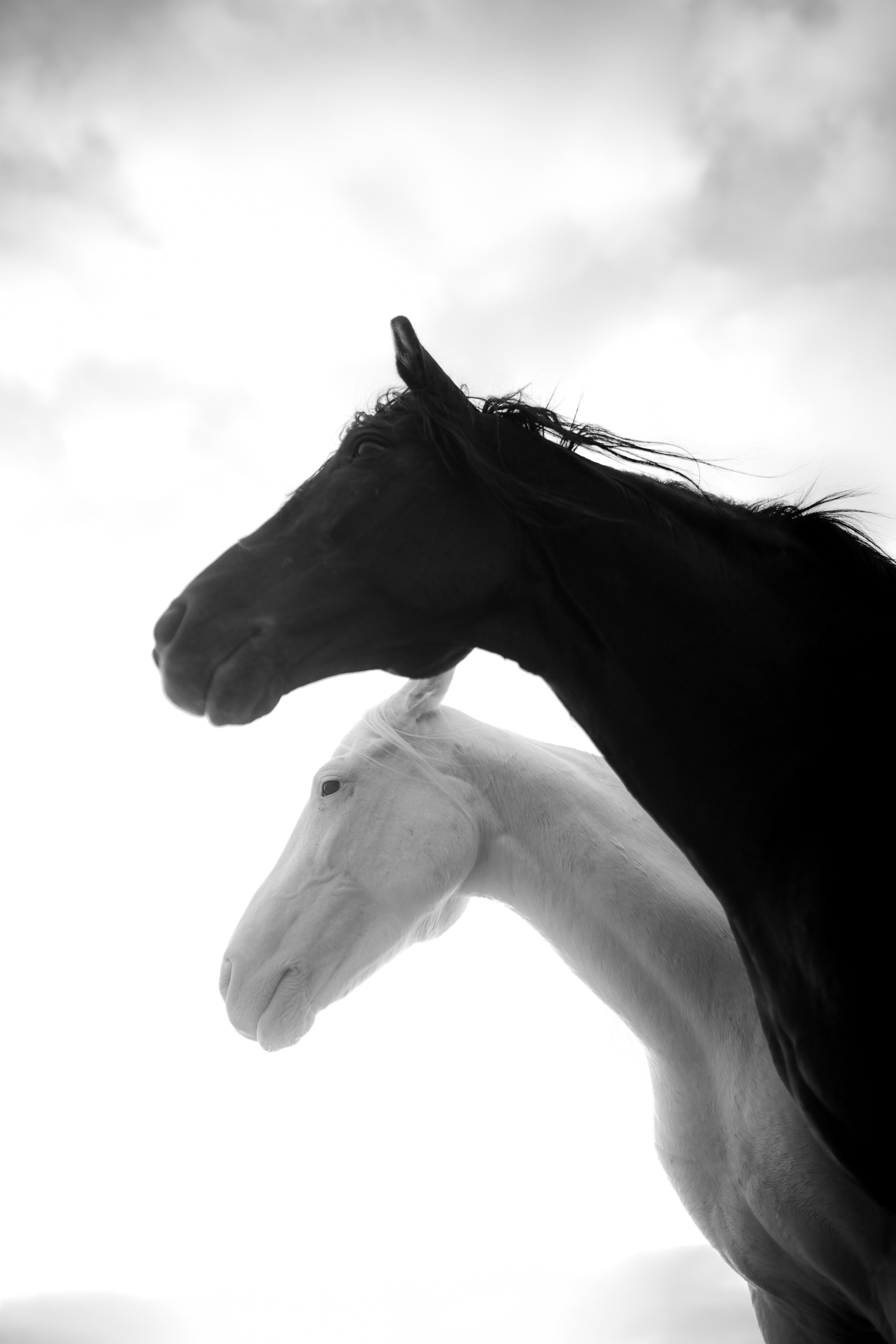 Portfolio Award 2025