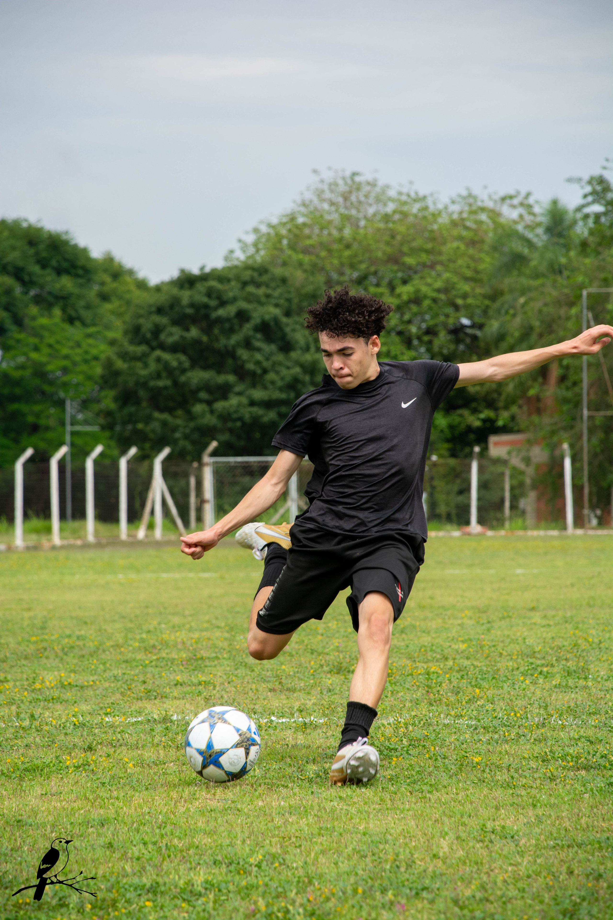 Esportiva Home. AerobirdStudios