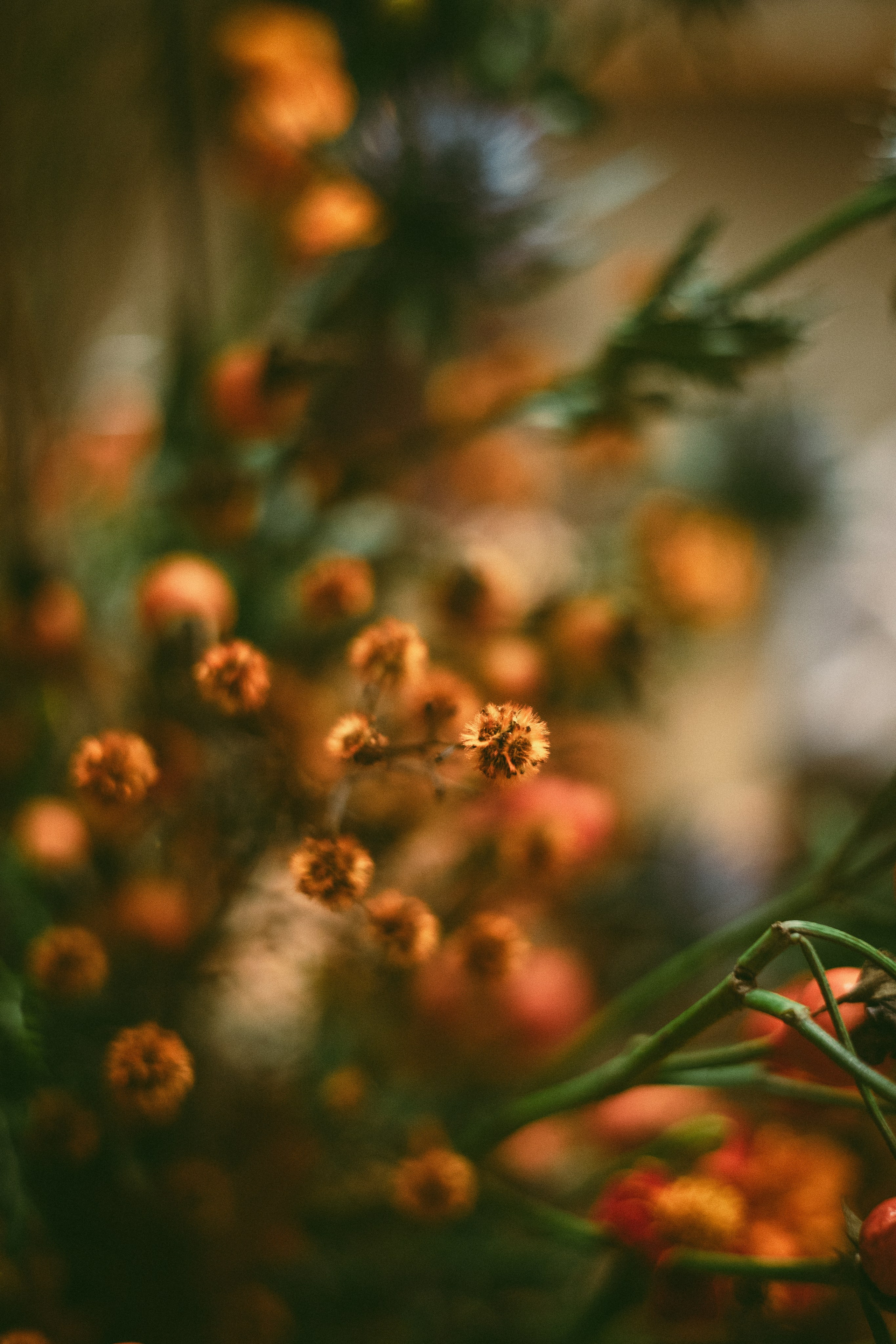 Event and Brand Photoshoot Info. Lucy Kirakos — Family Photographer in Los Angeles