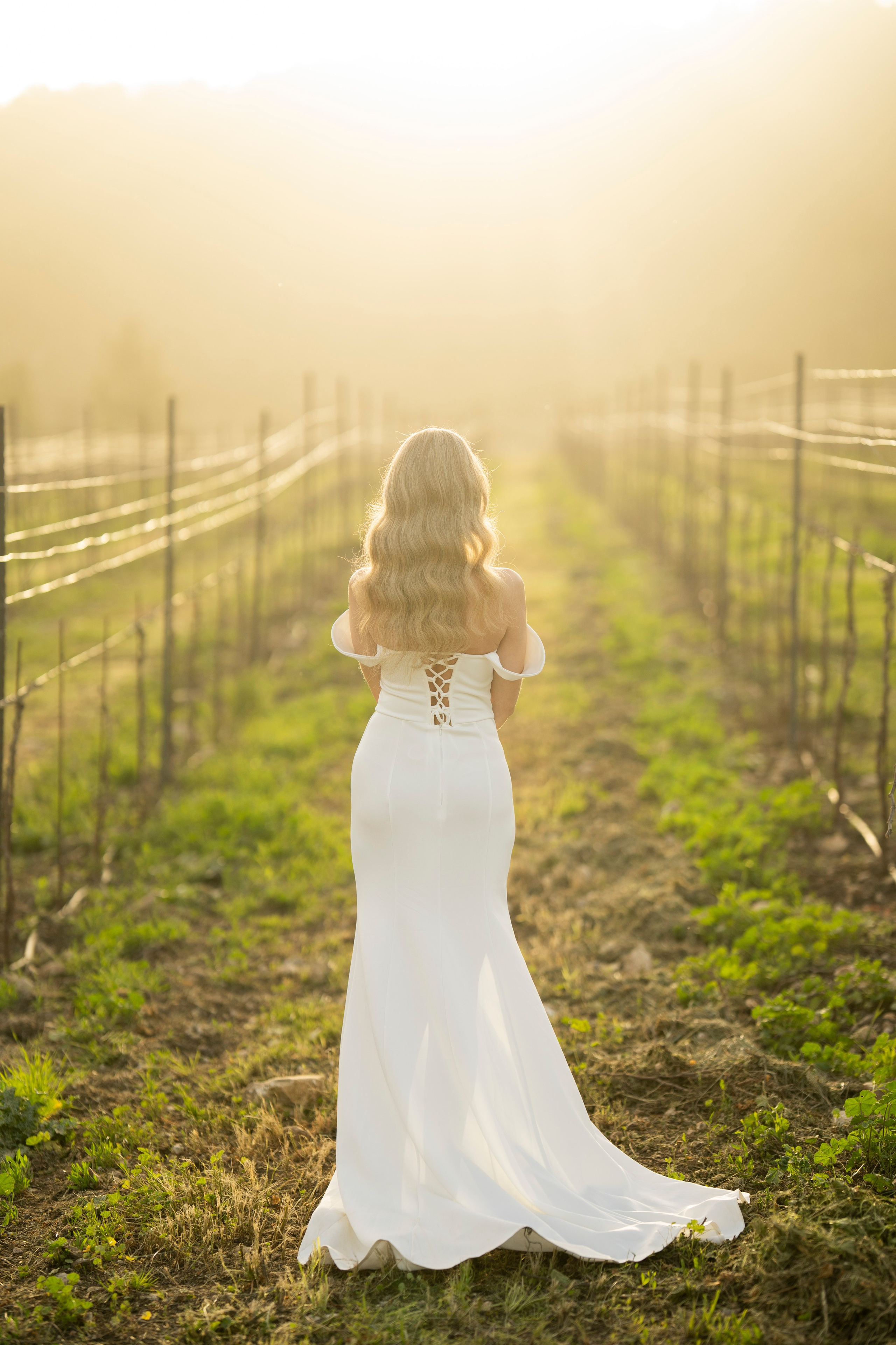 יוסף מזרחי צילום חתונה, ברית וזוגיות. צלם מקצועי שאוהב להוציא אתכם הכי יפים ברגעים הכי מרגשים