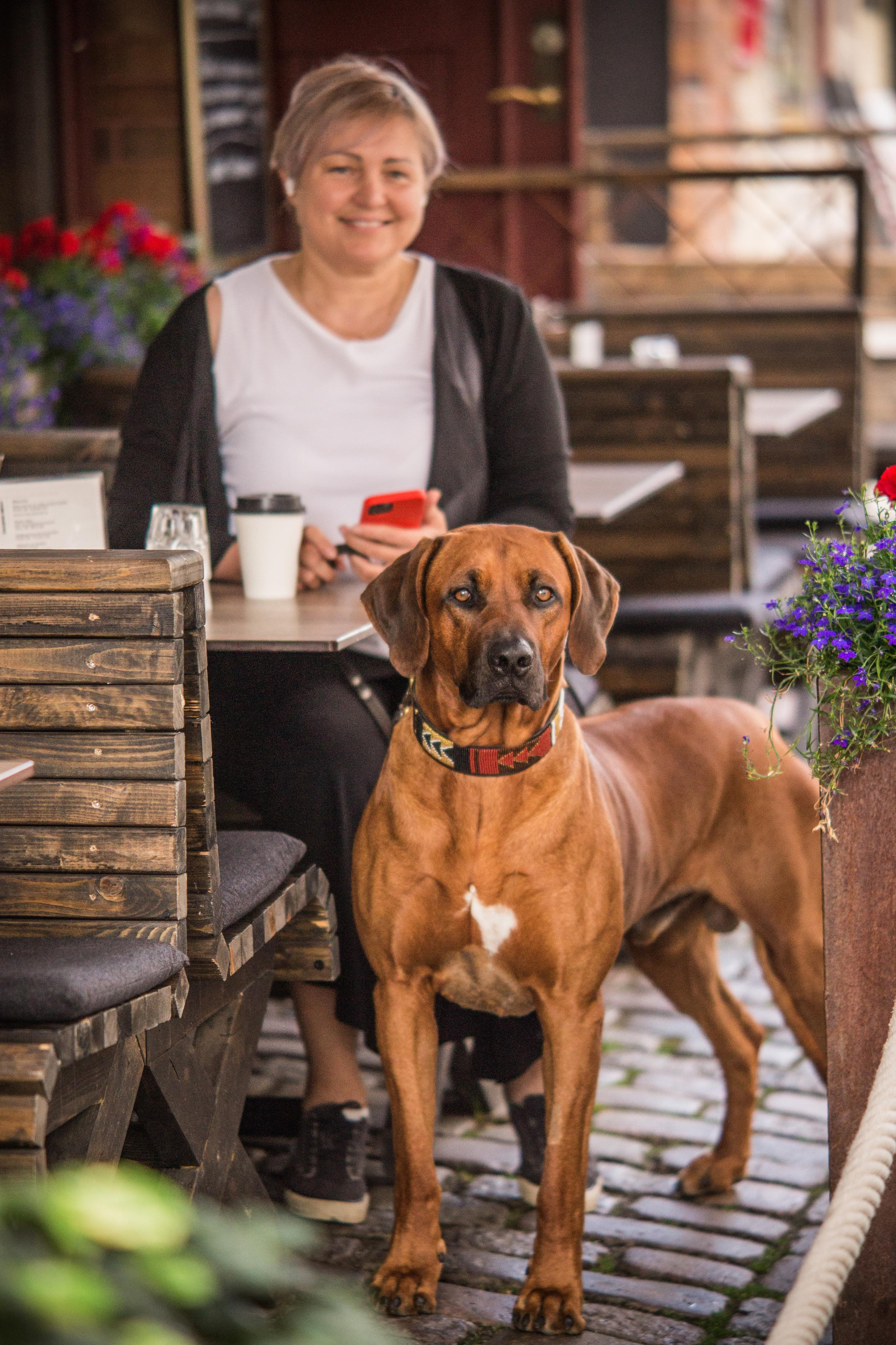 Studio och familj fotograf i i Västra Götaland Elena Astrid Johansson