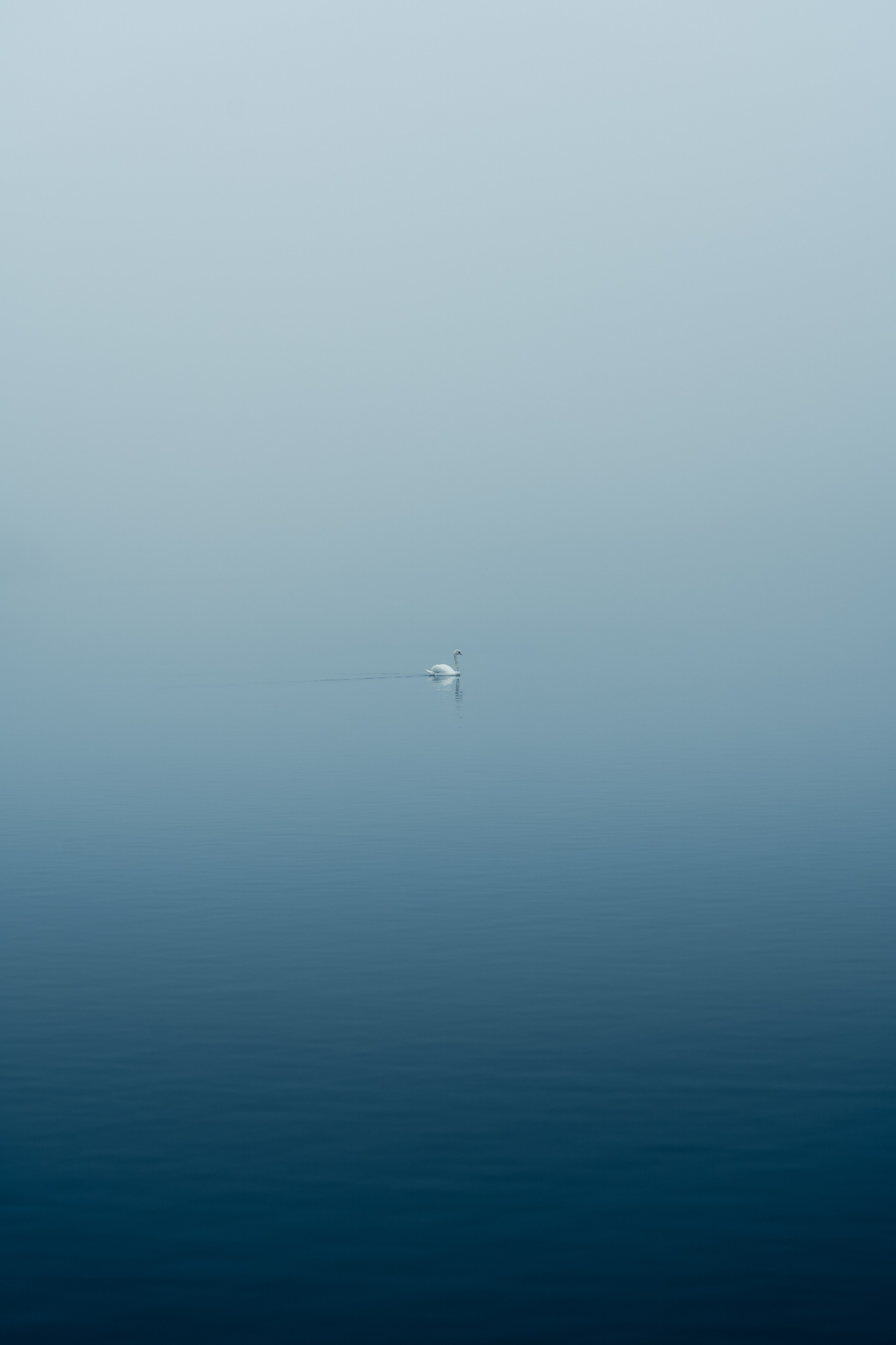 Blog despre fotografie - O dimineata cetoasa