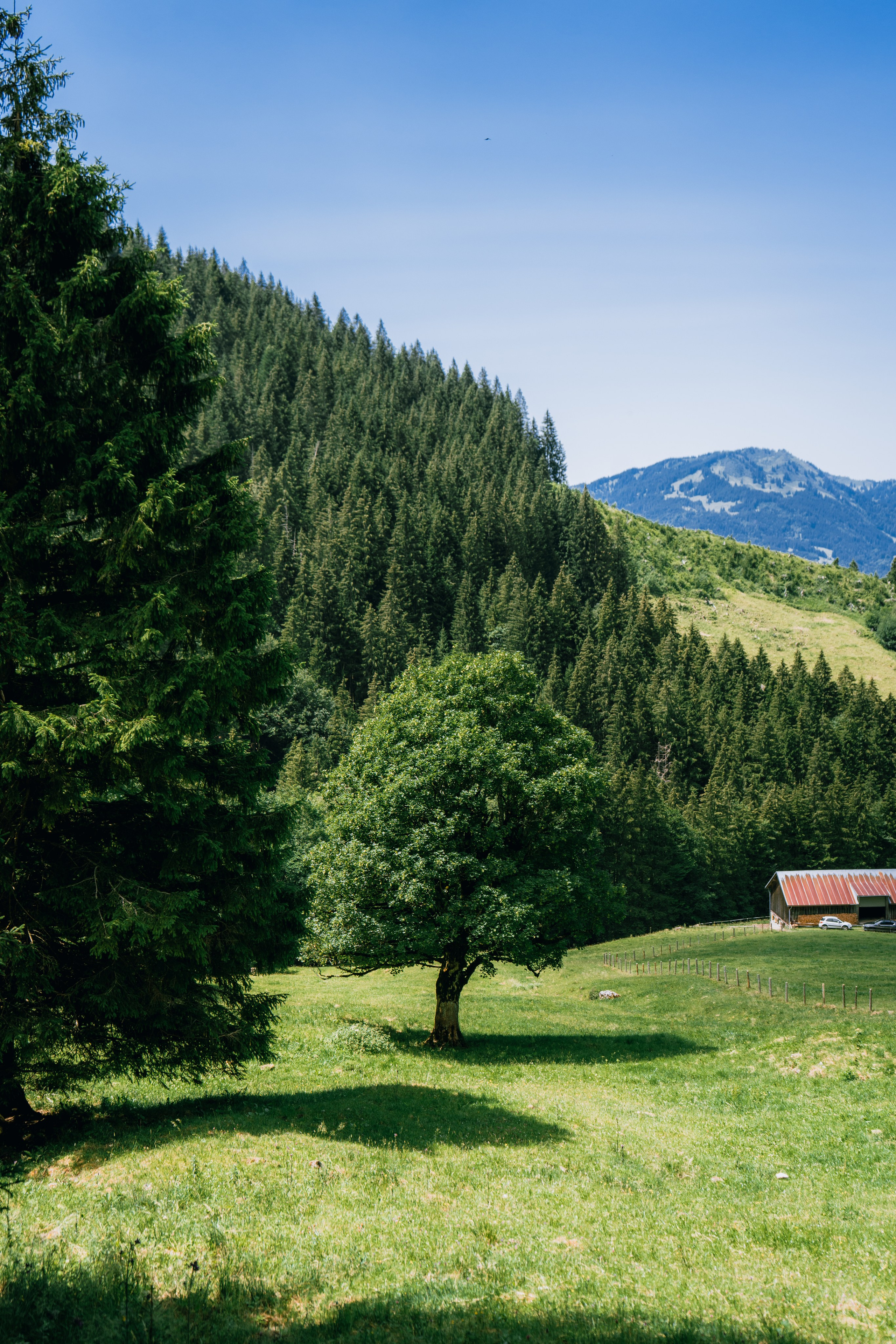 A Photographer’s Escape into Nature. Портретный фотограф в Мюнхене — Полина Черкасова