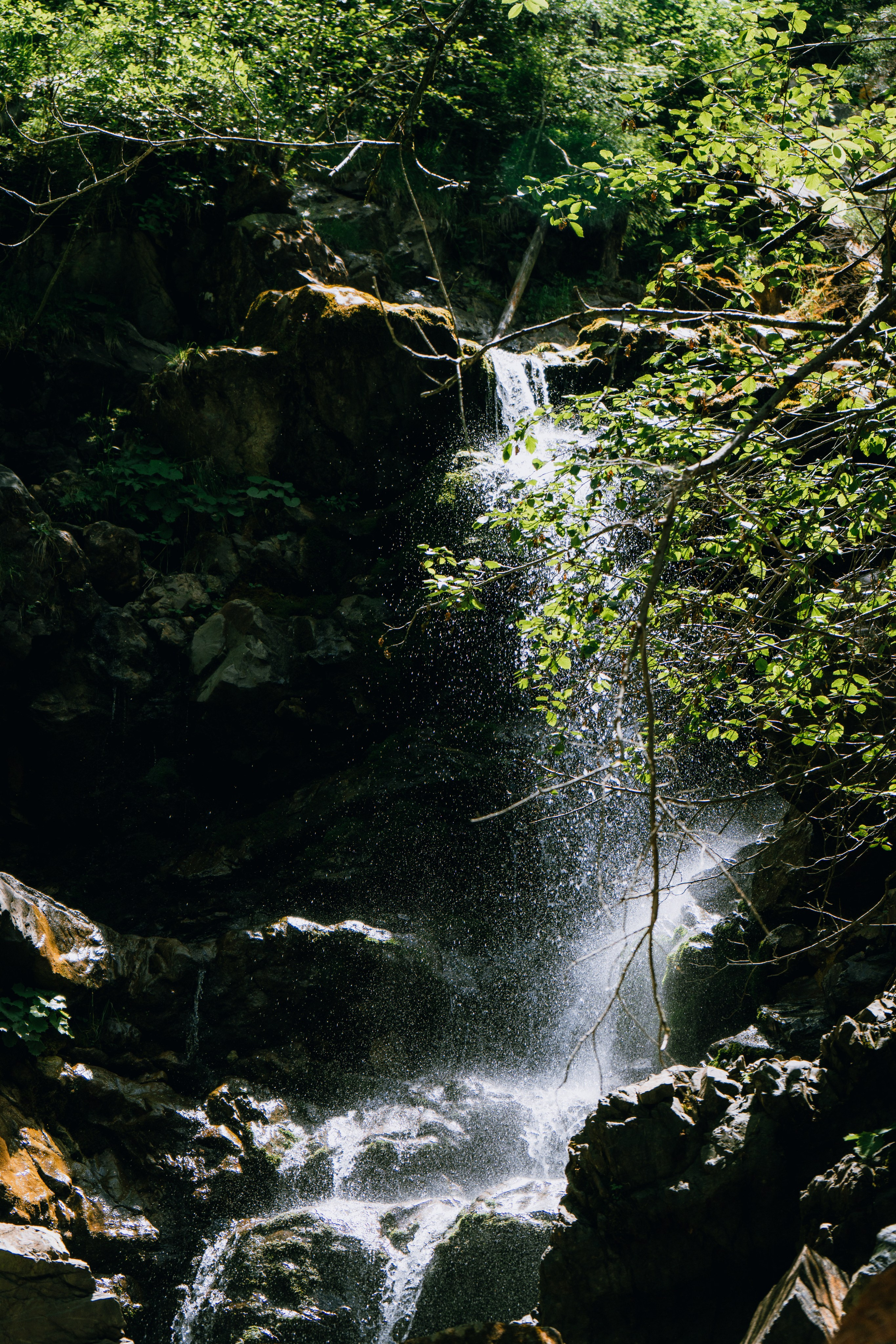 A Photographer’s Escape into Nature. Портретный фотограф в Мюнхене — Полина Черкасова