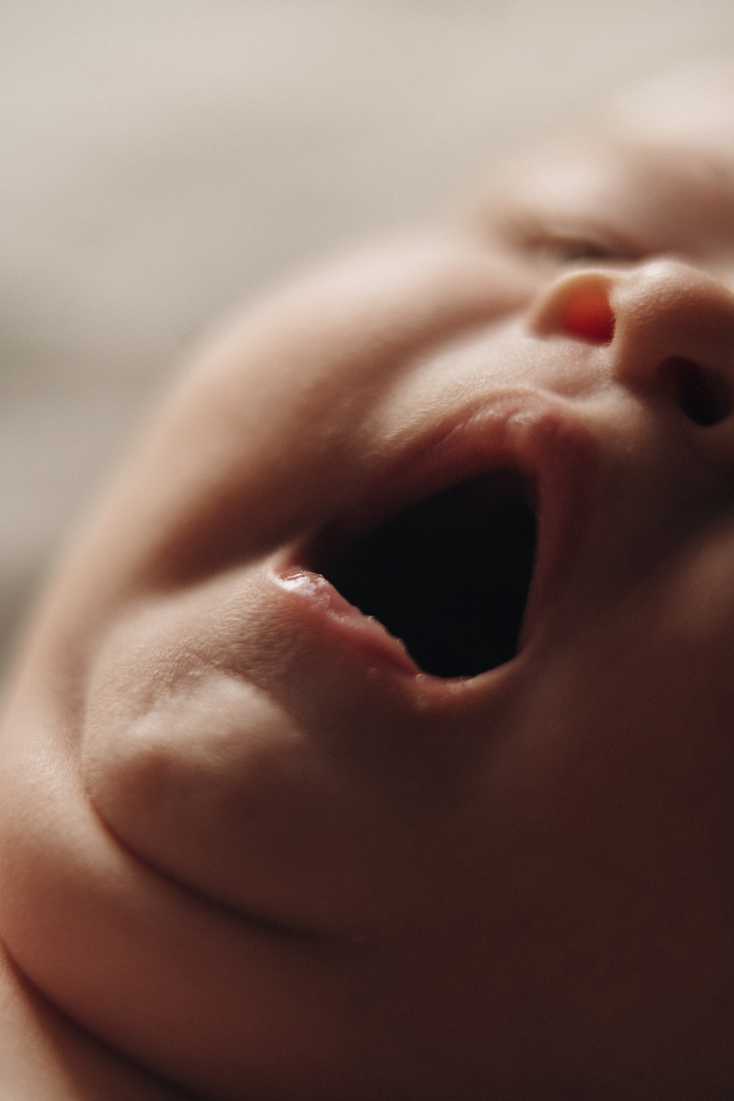 About Me. Alisa Tant — Family and newborn photographer Bucks County, Montgomery county, Philadelphia, NJ