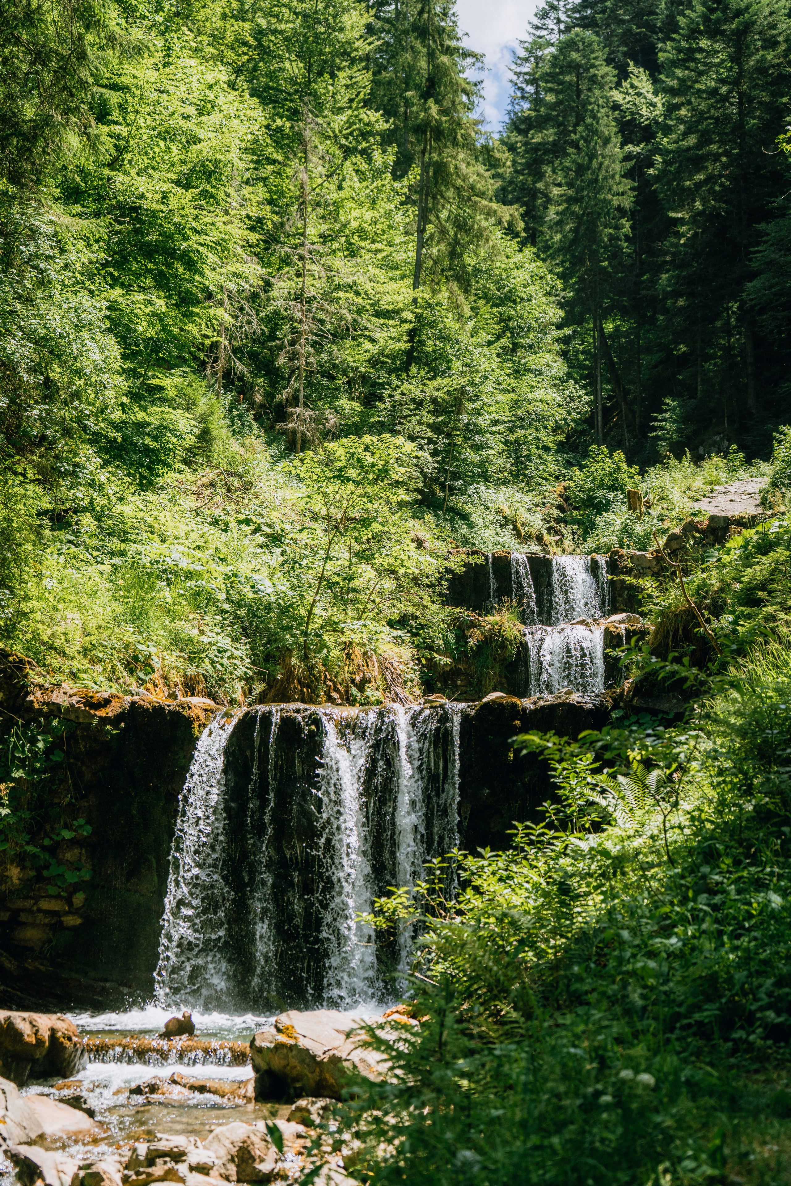 A Photographer’s Escape into Nature. Портретный фотограф в Мюнхене — Полина Черкасова