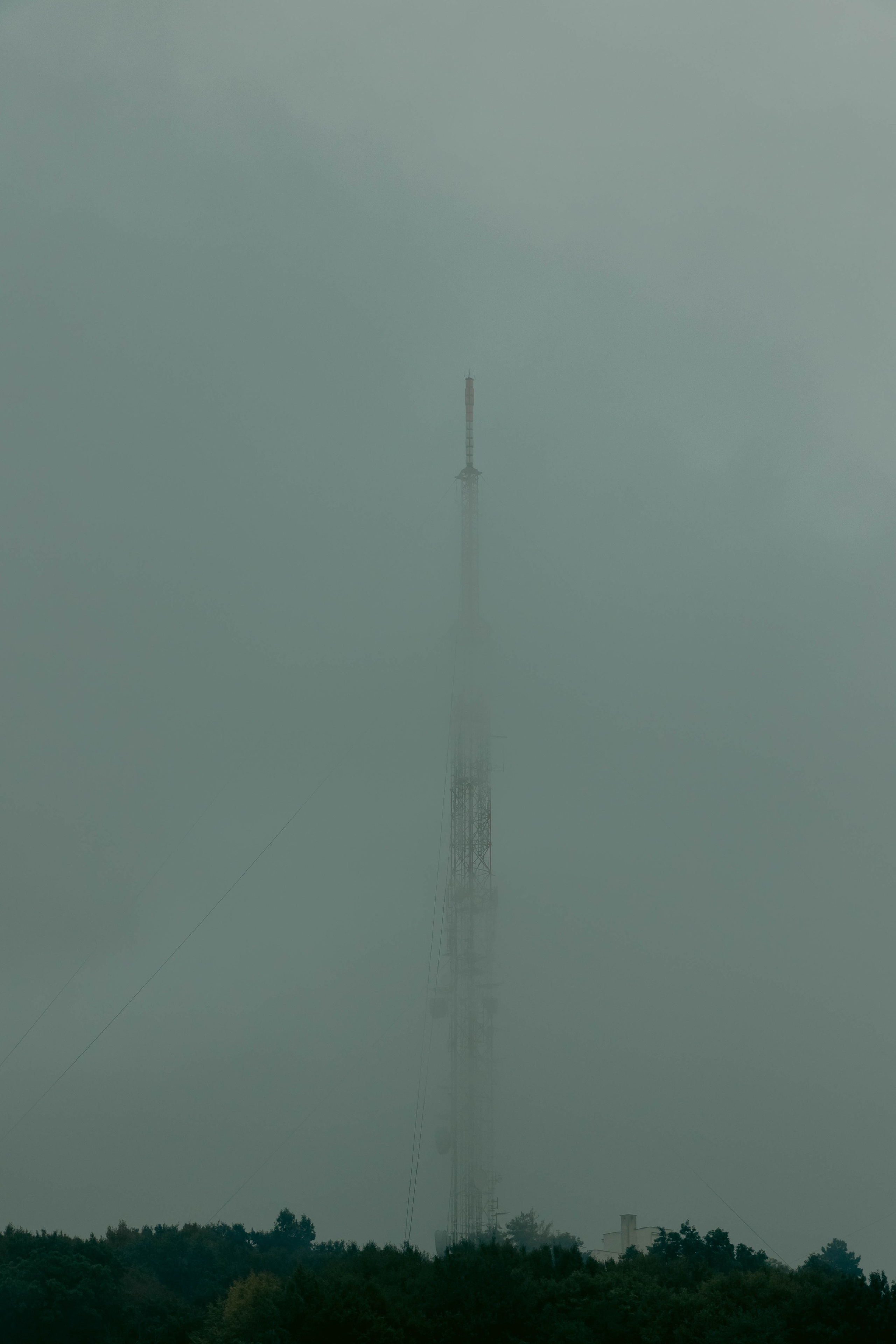 O drumeție simplă la Șiria