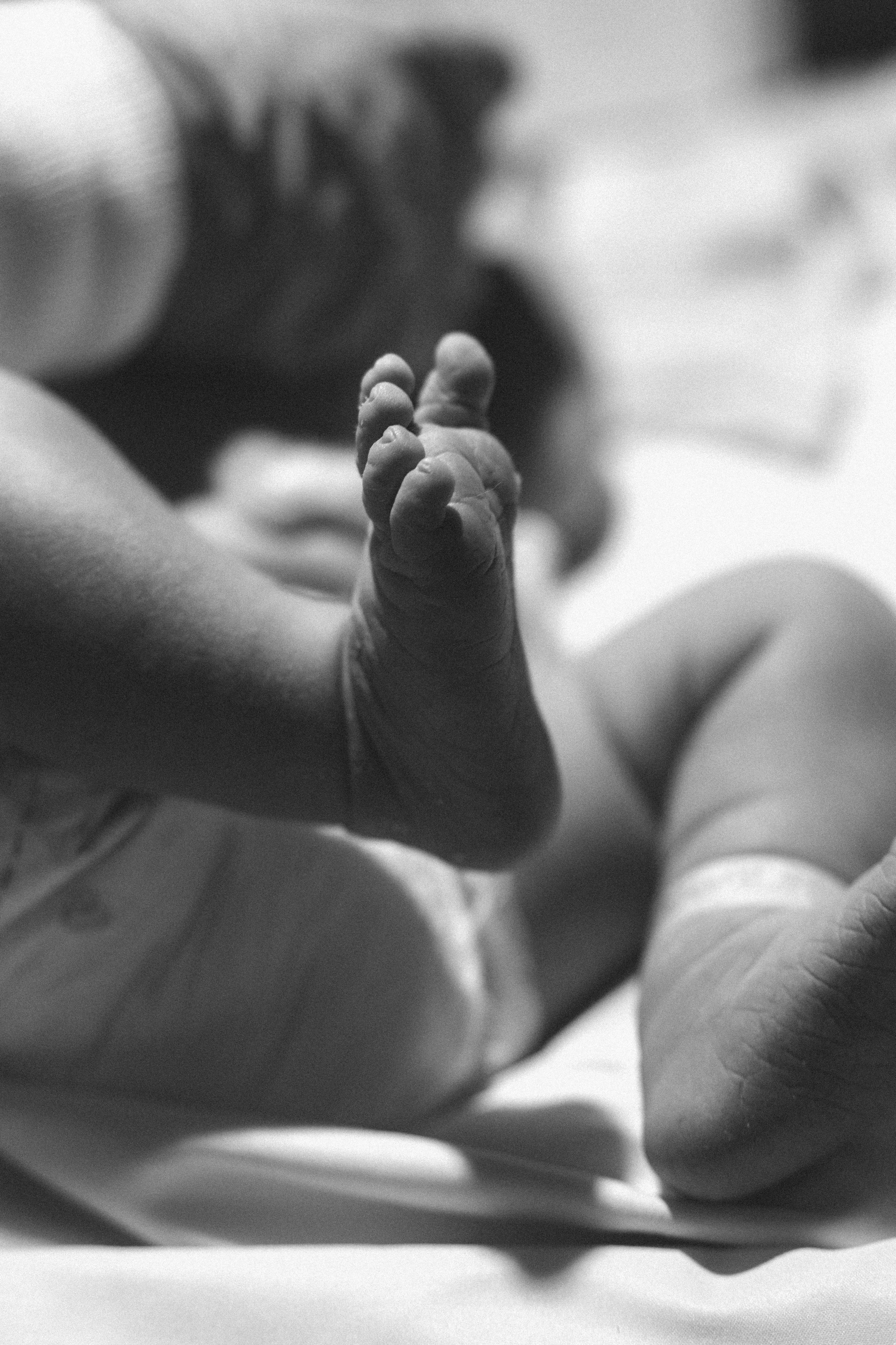 SERVICES. Lena Fedorov Photography — maternity, newborn, family, birth & beauty in Boca Raton, South Florida