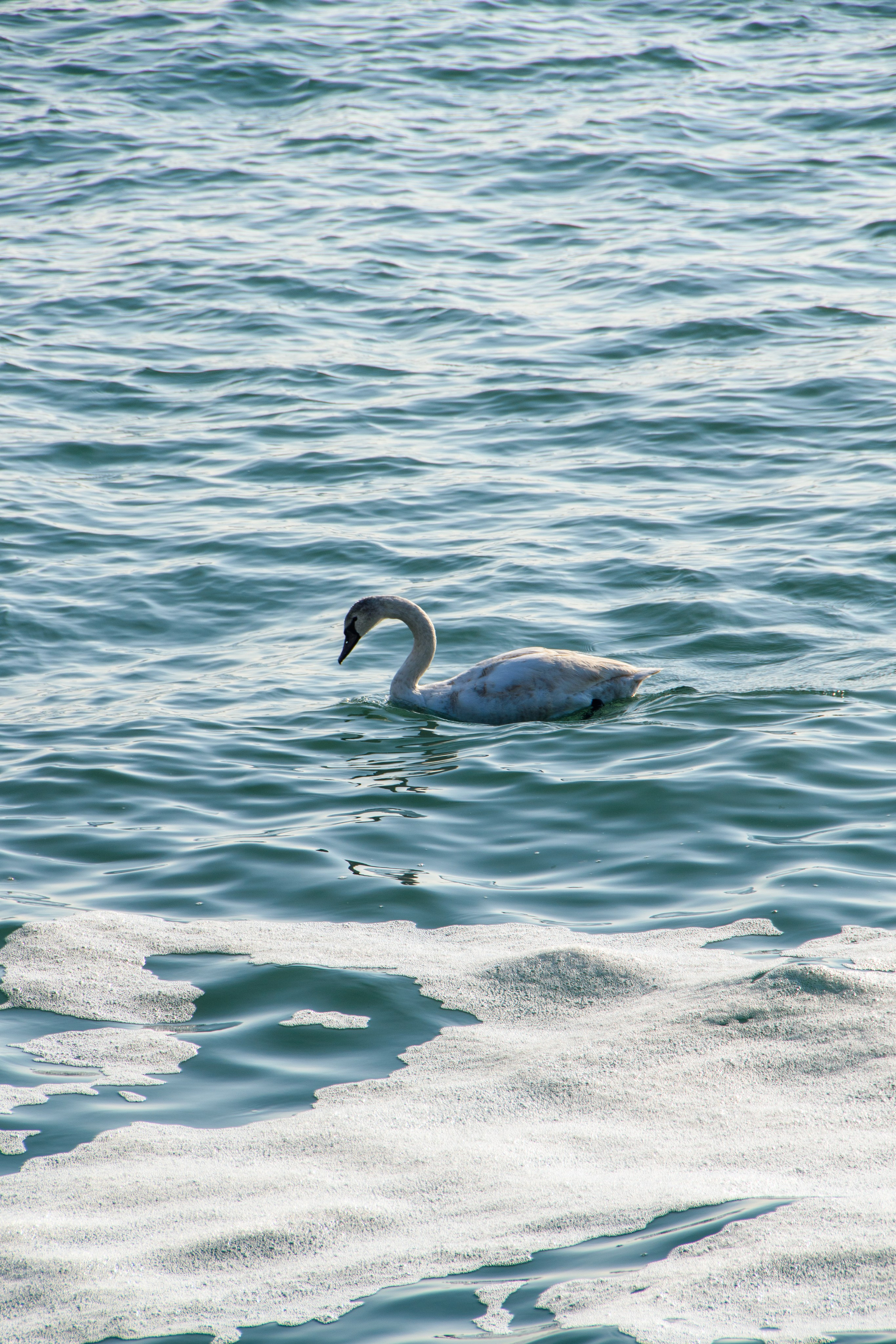 Când amintirile…. KoRa Foto Art